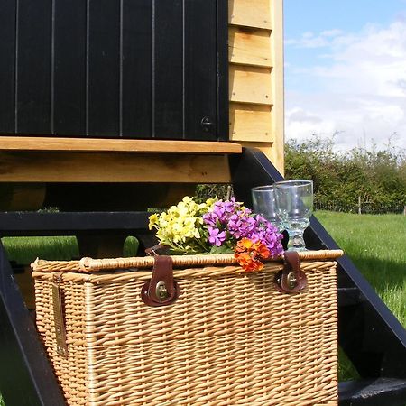 Marshwood Farm B&B And Shepherds Hut Dinton  Exteriér fotografie