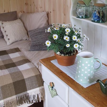 Marshwood Farm B&B And Shepherds Hut Dinton  Exteriér fotografie