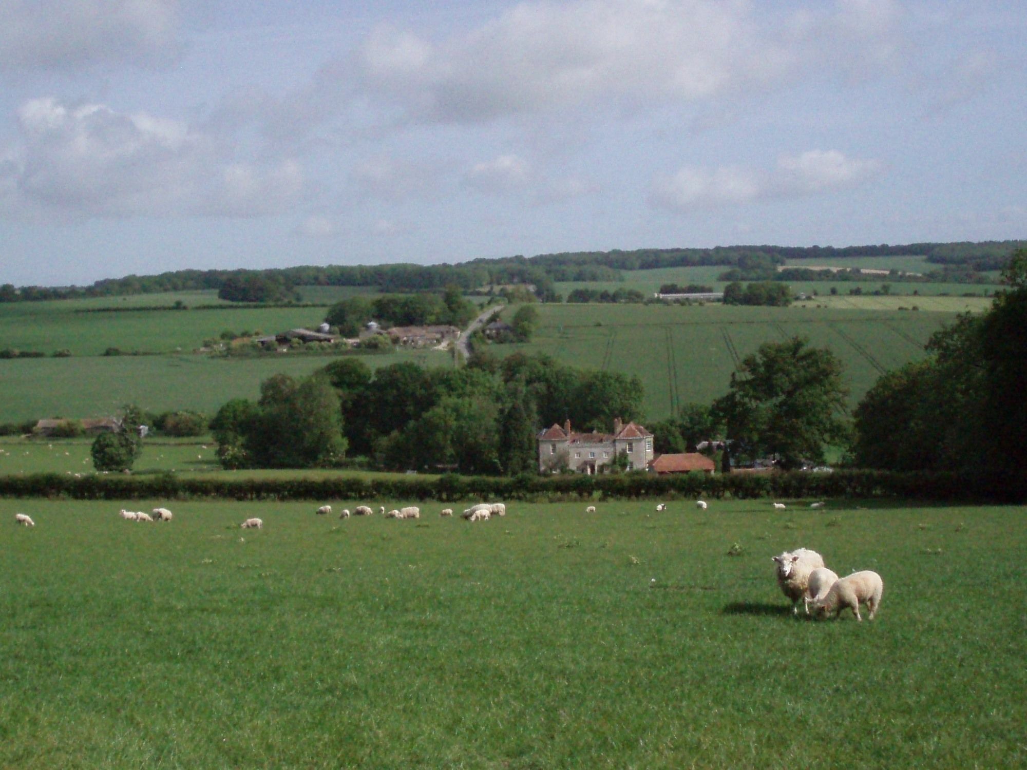 Marshwood Farm B&B And Shepherds Hut Dinton  Exteriér fotografie